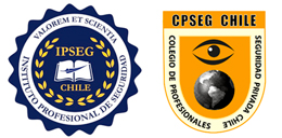 Ipseg.cl Logo